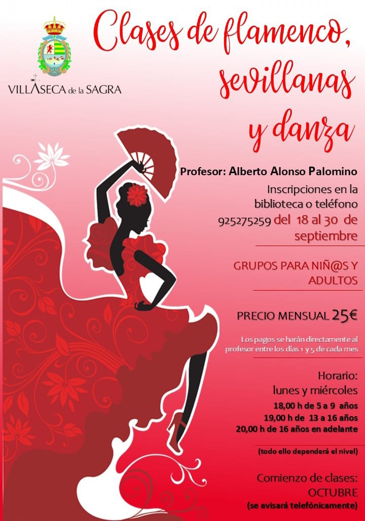 Clases de flamenco, sevillanas y danza