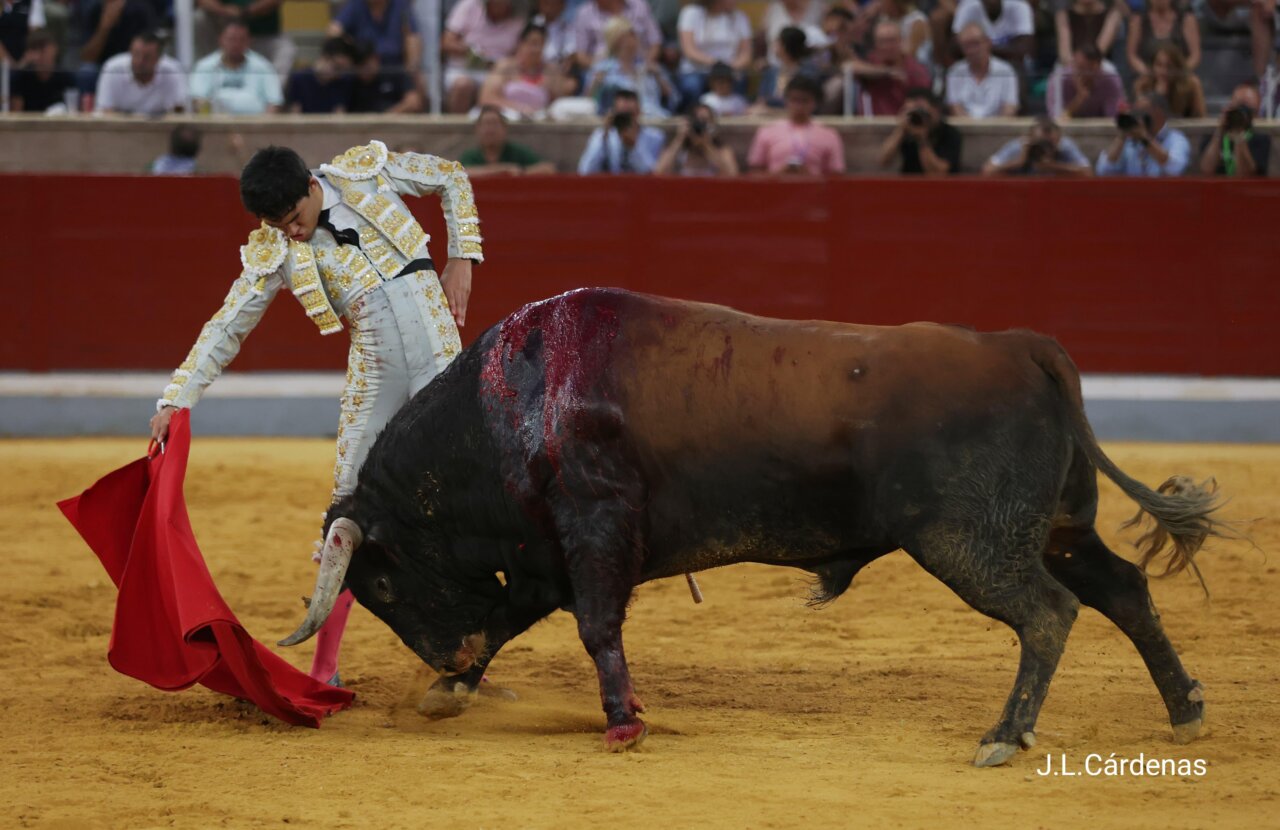 Triunfador XXV Alfarero de Oro 2025