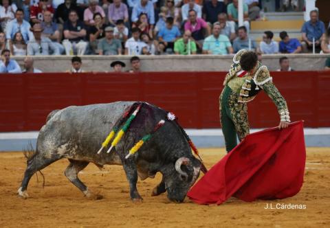 2ª Novillada XXV Alfarero de Oro 2025