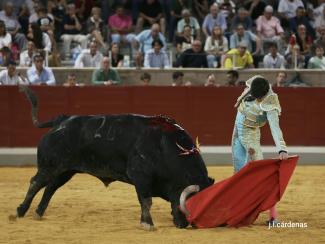 7ª Novillada XXVI Alfarero de Oro 2026