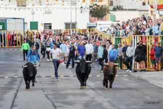 4º Encierro 