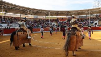 Venta de entradas sueltas 