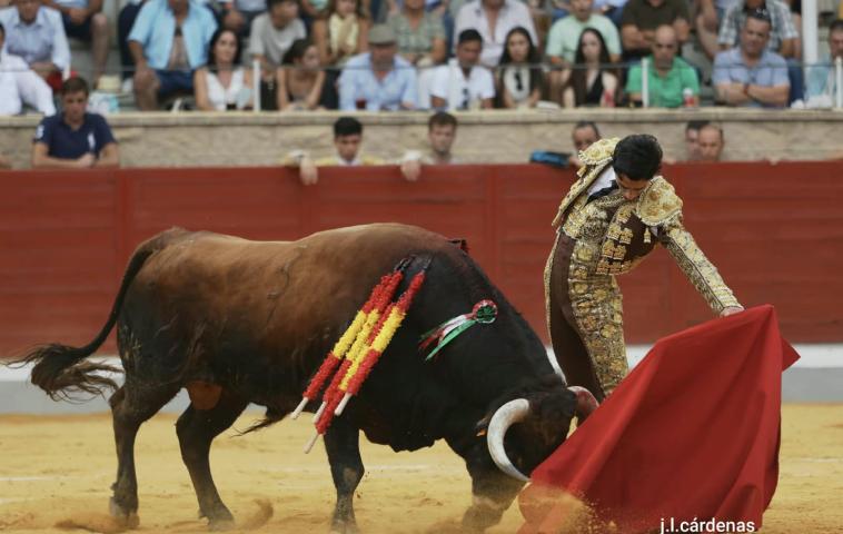 2ª Novillada XXVI Alfarero de Oro 2026