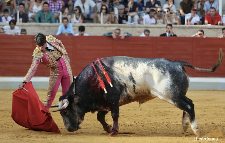 5ª Novillada XXVI Alfarero de Oro 2026