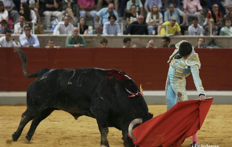 7ª Novillada XXVI Alfarero de Oro 2026